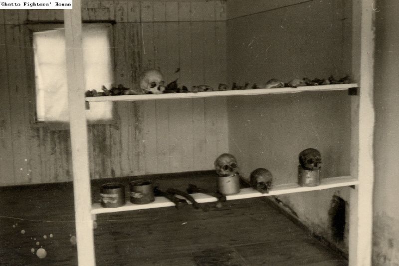 Skulls of inmates and Zyklon B cannisters displayed at Stutthof after the war